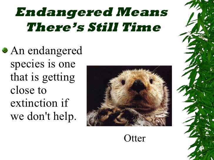 endangered species powerpoint presentation